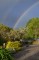 SW Kitchen garden with rainbow 2013-10-10 007 web (2) (530x800)     